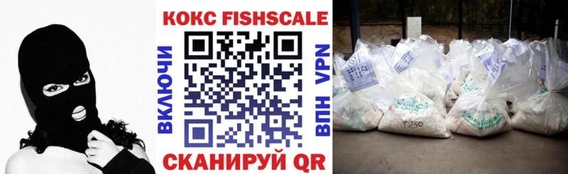COCAIN Fish Scale Салехард