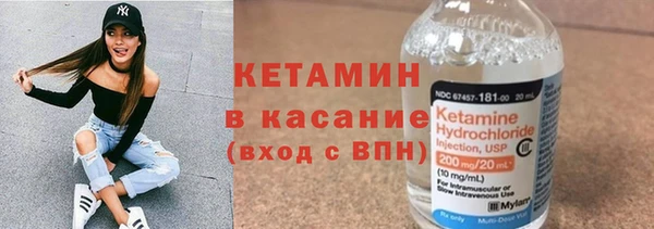 прущие грибы Переславль-Залесский