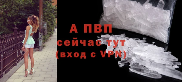 гашик Пересвет