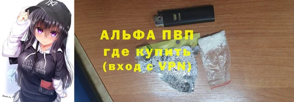 прущие грибы Переславль-Залесский