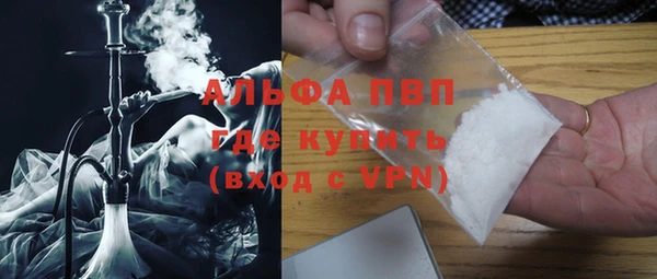 прущие грибы Переславль-Залесский