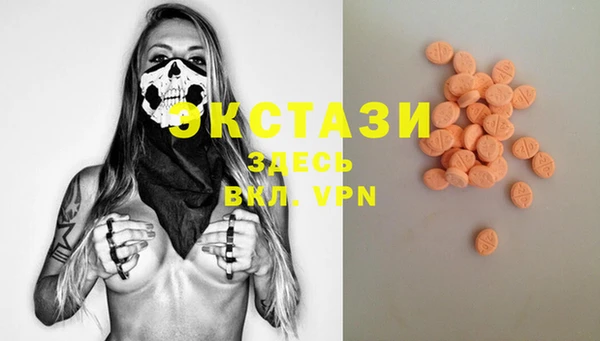 гашик Пересвет