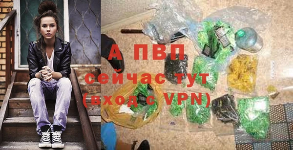 прущие грибы Переславль-Залесский