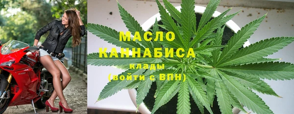 гашик Пересвет