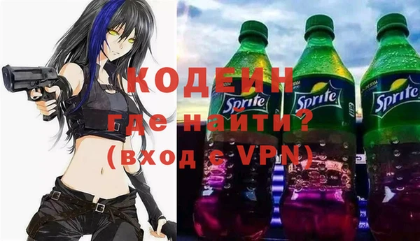 прущие грибы Переславль-Залесский