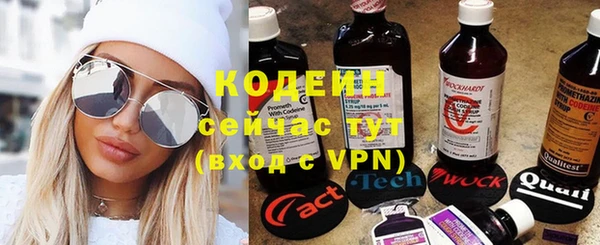 прущие грибы Переславль-Залесский