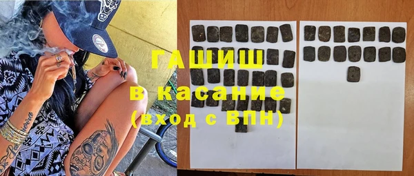 прущие грибы Переславль-Залесский