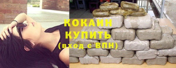гашик Пересвет