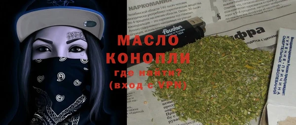 гашик Пересвет
