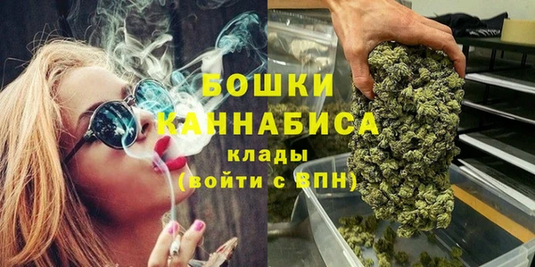 гашик Пересвет
