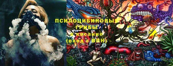 прущие грибы Переславль-Залесский