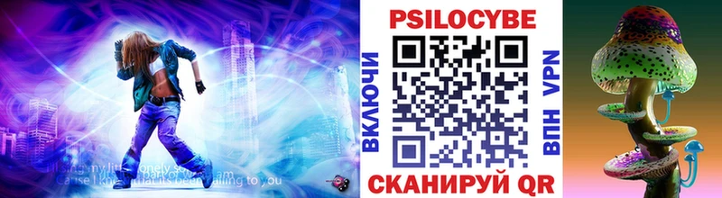 Псилоцибиновые грибы Psilocybe  даркнет сайт  Салехард 